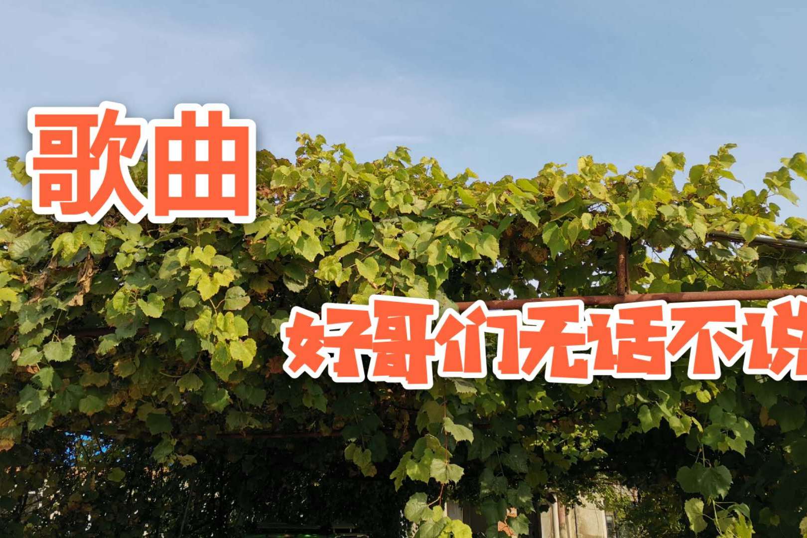 歌曲好哥们无话不说