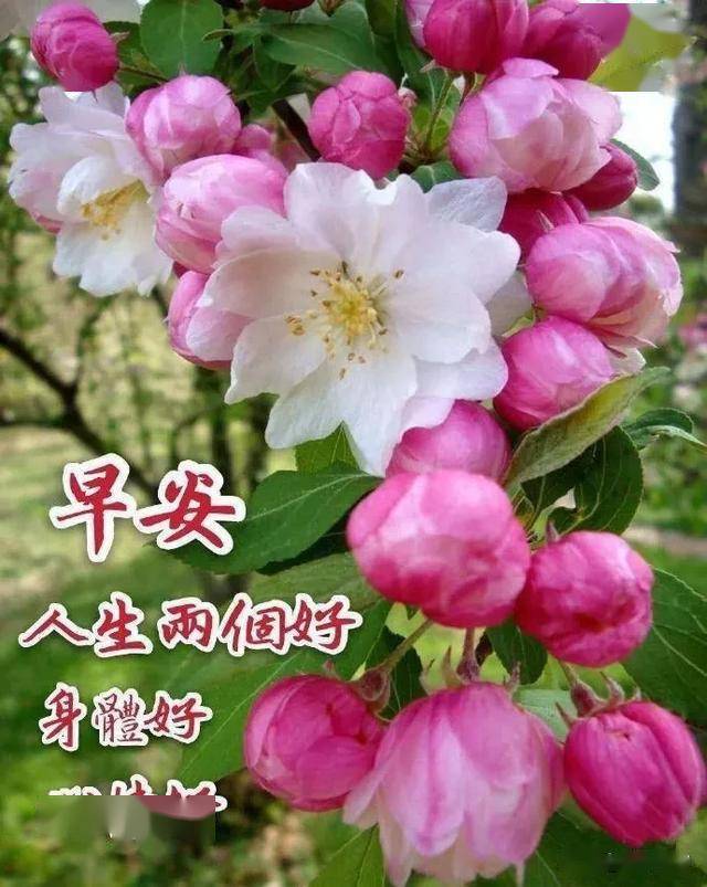 完美祝福语