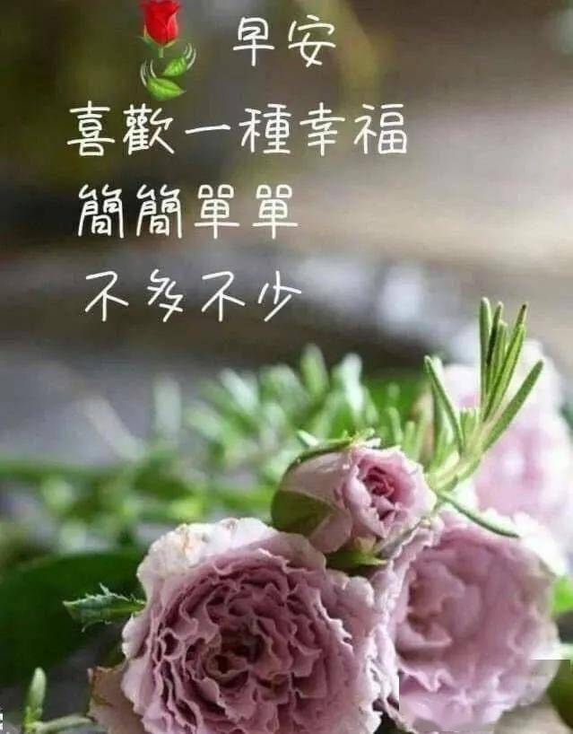 早安吉祥:早睡早起,精神最好;带着吉祥,带着微笑,早安