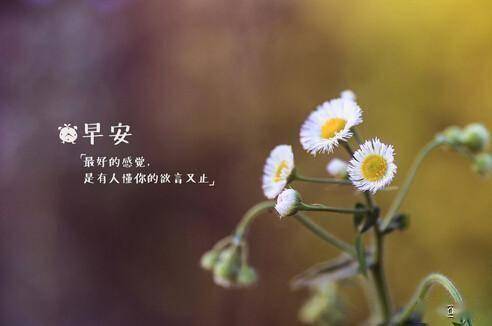 早安心语:生活不能等待别人来安排,要自己去争取和奋斗