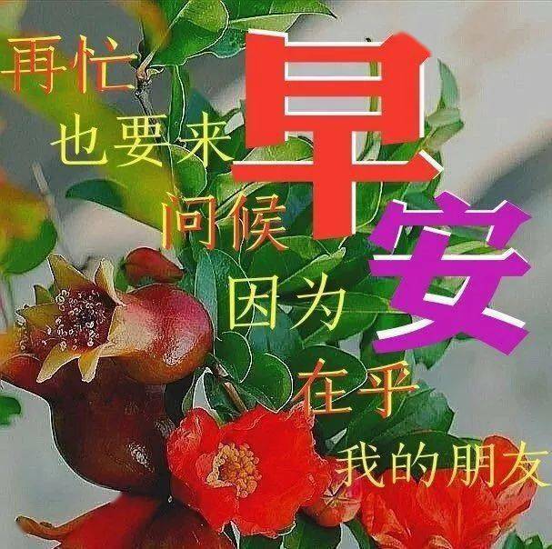 早上好问候美图,早安问候语句!