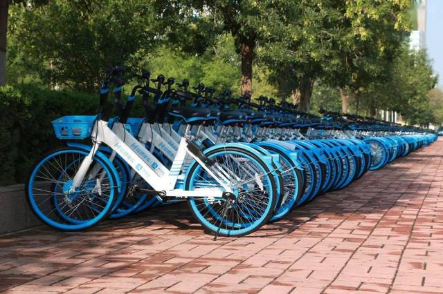 共享单车使用方法视频 a5ddfb25a387469b8654c3207e5c5f07.jpeg