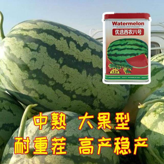 1d739d16c41d452a80dcec318c8951a6.jpeg