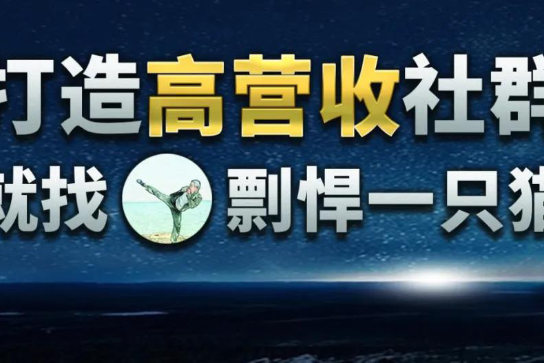 剽悍一只猫:这个时代的个人制胜法则