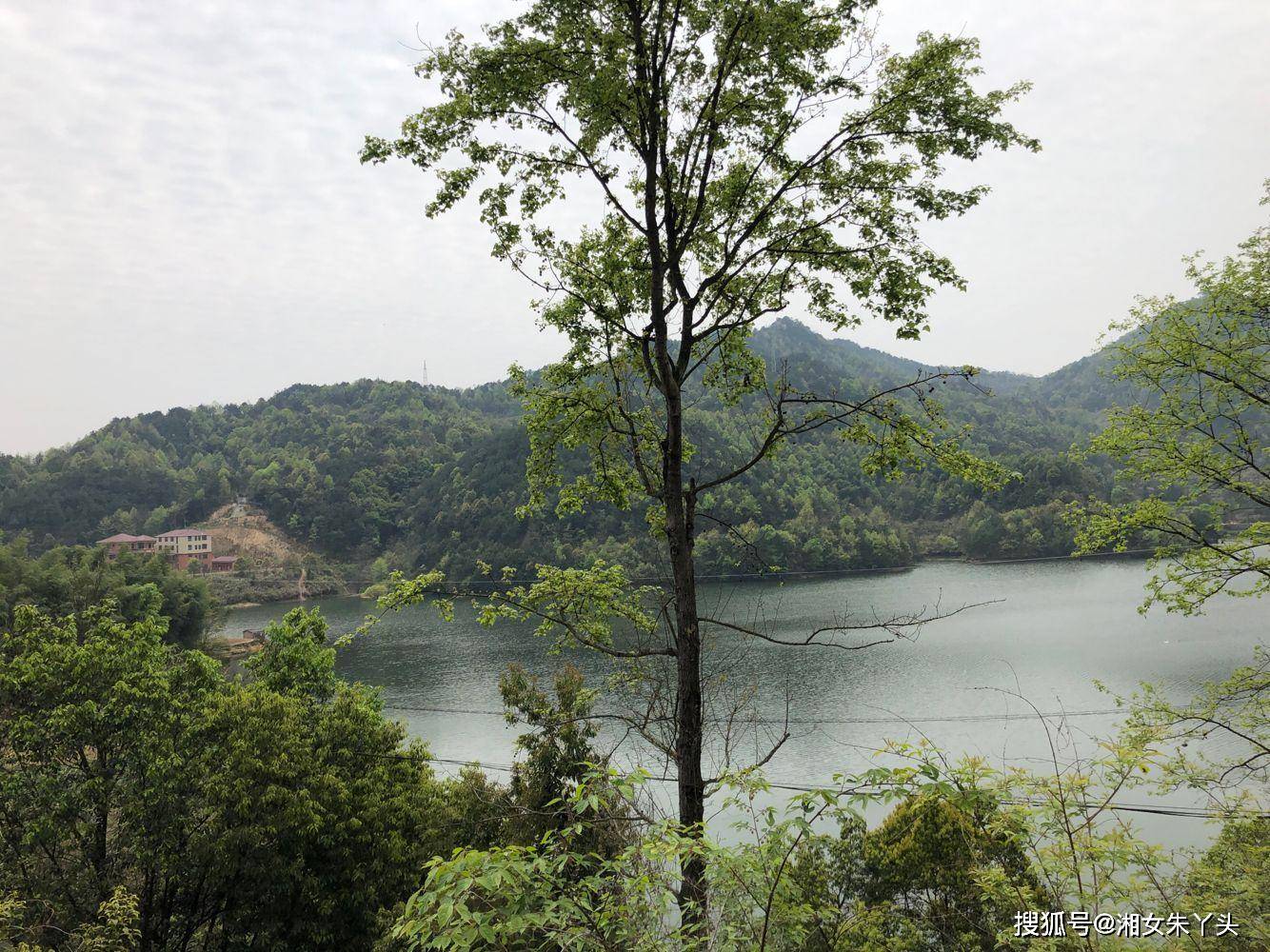 黄梅县程晃岭水库风景