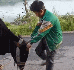 搞笑gif开心一刻:不要去打搅到一个睡觉的人_手机搜狐