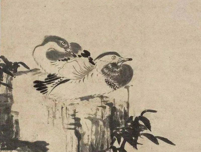 八大山人 鴛鴦 全世界最贵的鸳鸯，一个亿！_搜狐网