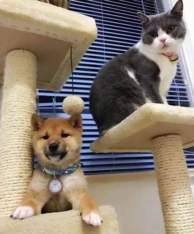 bff22acb52204e8db38b3f96e9960037.jpeg