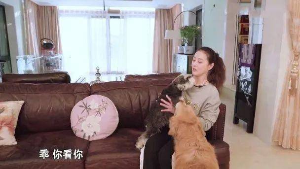 美女红星周海媚北京豪华别墅内景曝光狗狗都有专门浴室