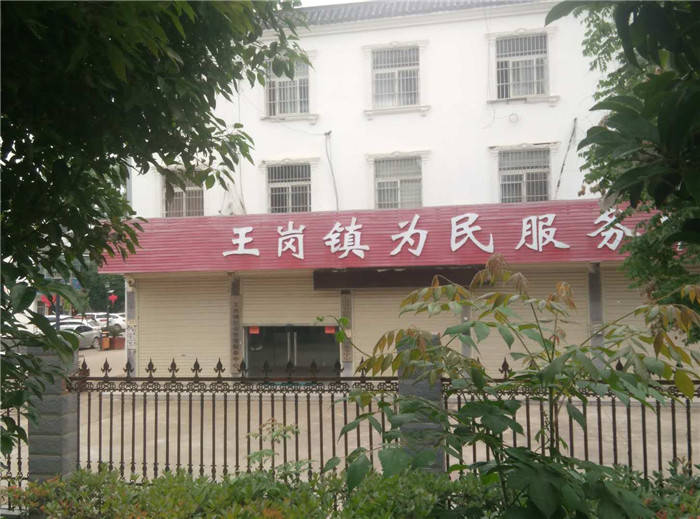 太和县郭庙镇2019经济总量_太和县双庙镇地图