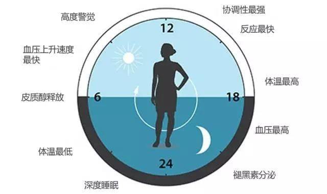 怎样可以长时间熬夜不困 ed1e5160b6f24be8a885466c84b7a88d.jpeg