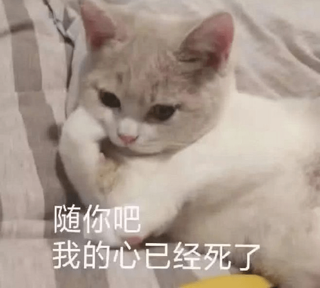 苦瓜表情包搞笑 f373a0354c814c358a9945307e756cbd.png