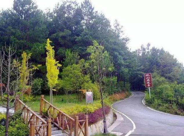 2,盘龙山森林公园 距离基地4.4公里(免费)