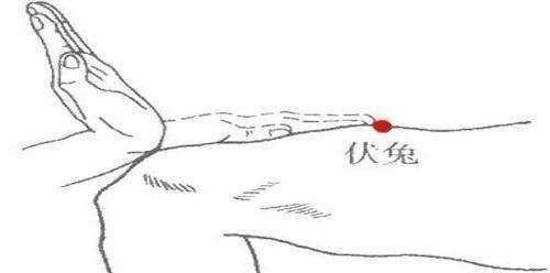 2f4f936cadf24020ab579c74c12d22f2.jpeg