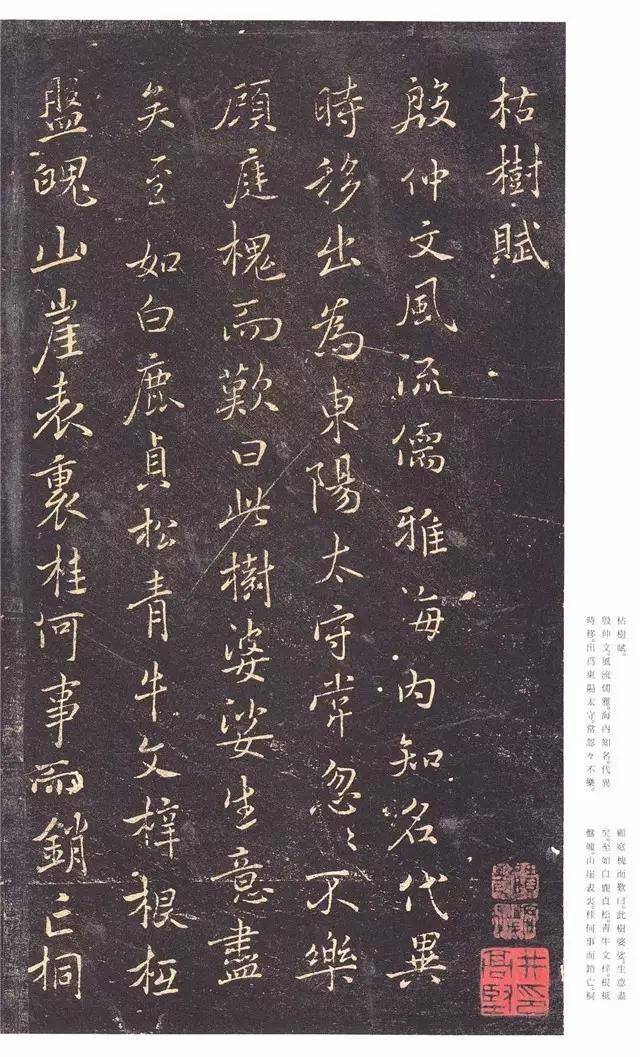 枯树赋书法高清正版，褚遂良枯树赋日本版本，枯树赋书法作品_搜狐网