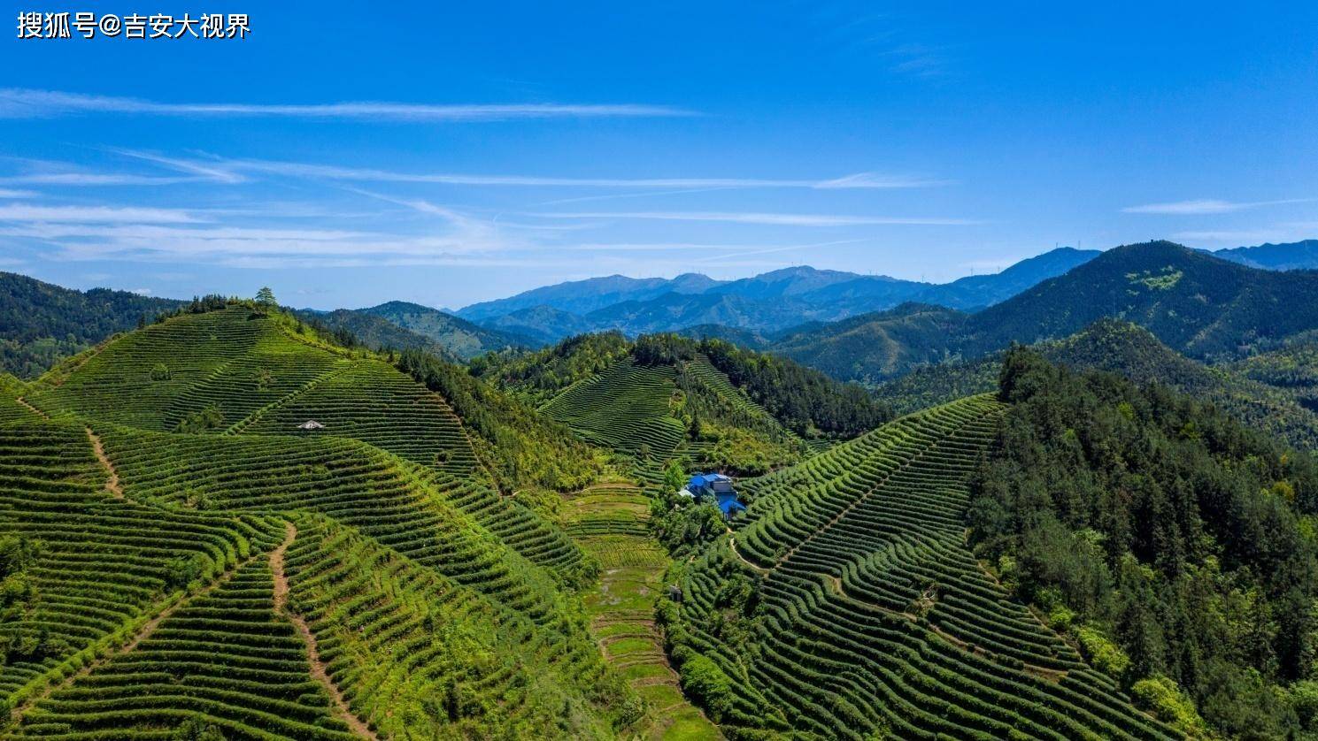 江西遂川开启田园遂月狗牯脑茶电商扶贫新模式