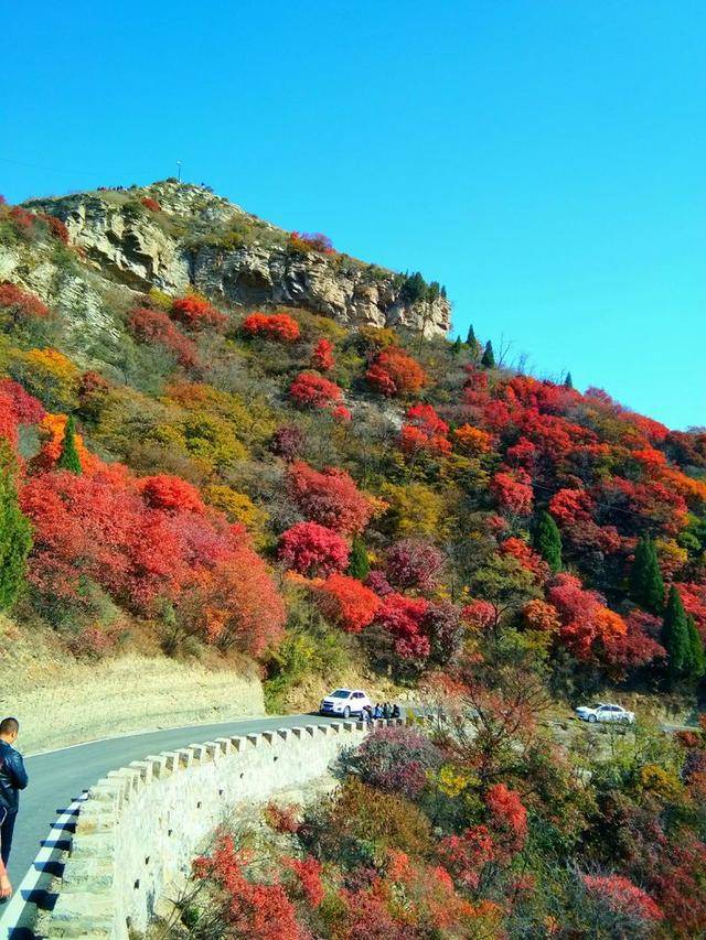 难忘岭西红叶红,游人不想返回程.这是博山区新开发的热门旅游景点.