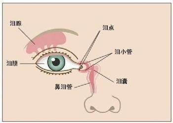 科普婴幼儿眼屎多遇风流泪可能是泪腺堵塞了