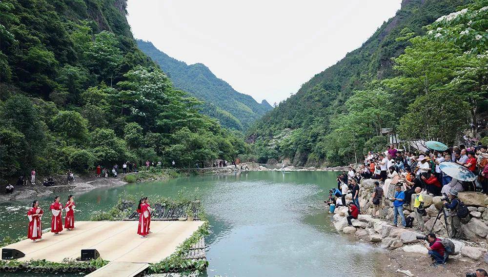 灵运仙境,五月桐花开 ——楠溪江首届桐花节举行 (现场美图看过来)