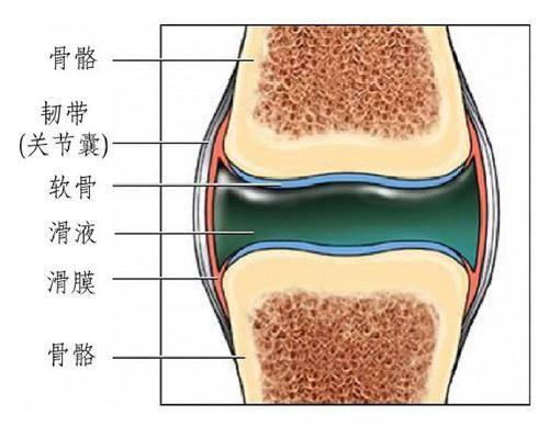 慢性损伤后,谨防滑膜炎