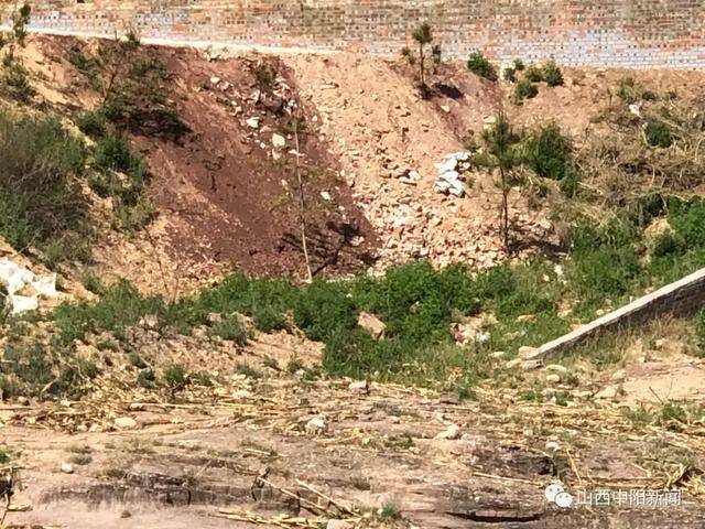 中阳县有多少人口_山西吕梁 中阳县暖泉镇是何方神圣为非法采矿站台充当保护