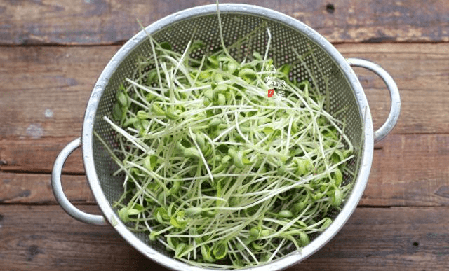 减脂期吃哪种豆芽 c8b62d6431ad44bf86d71e6d1602c910.png