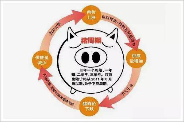 谁偷走了你的“猪肉自由”？