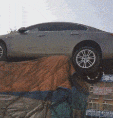 发视频怎么发出动图 e70f575888a546189eff2cec6c45c295.gif