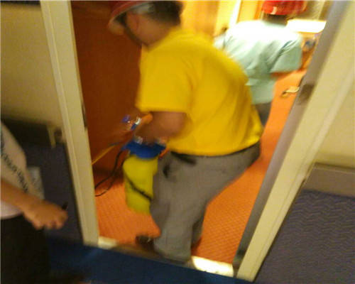 宿舍有老鼠怎么办怎么去除 2afffb0e557145b1984a4b1e61f810f5.jpeg