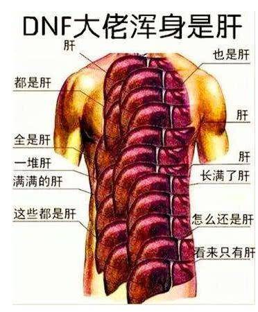 秃然你的肝还好吗上手就停不下来的游戏1000h竟只是入门级