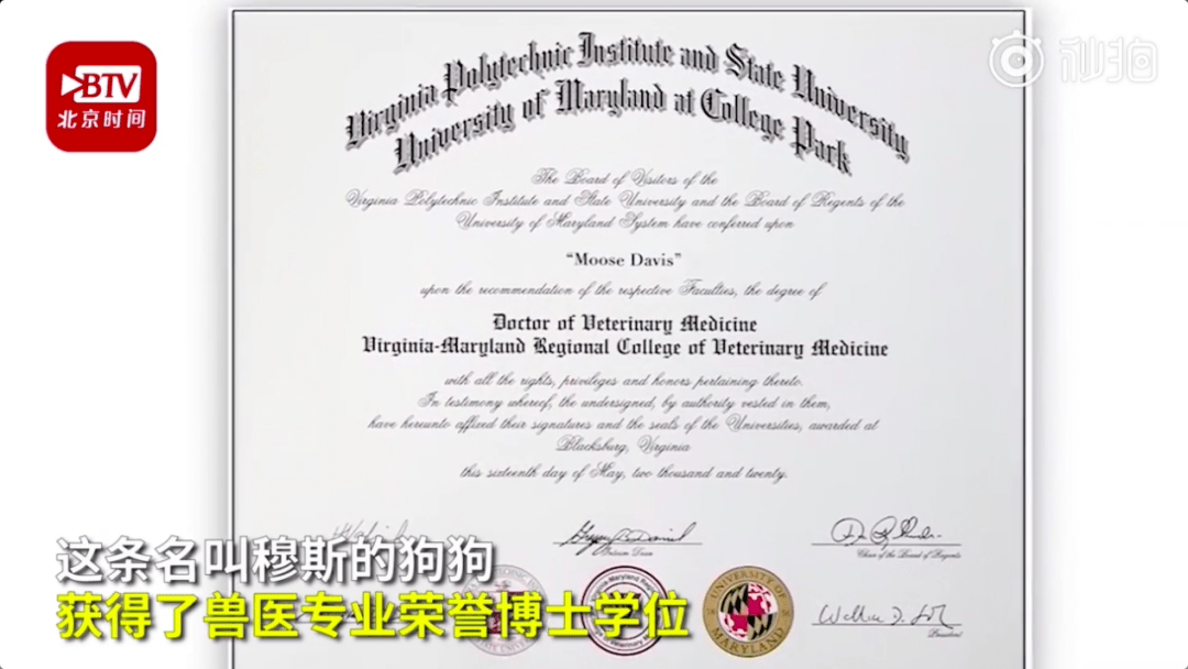 35323eae7f1349d7b00029695cdc3440.png