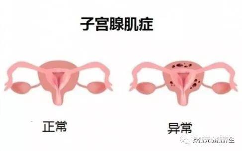 4be7e6a138c0409db4d2b0f3eae9553e.JPG