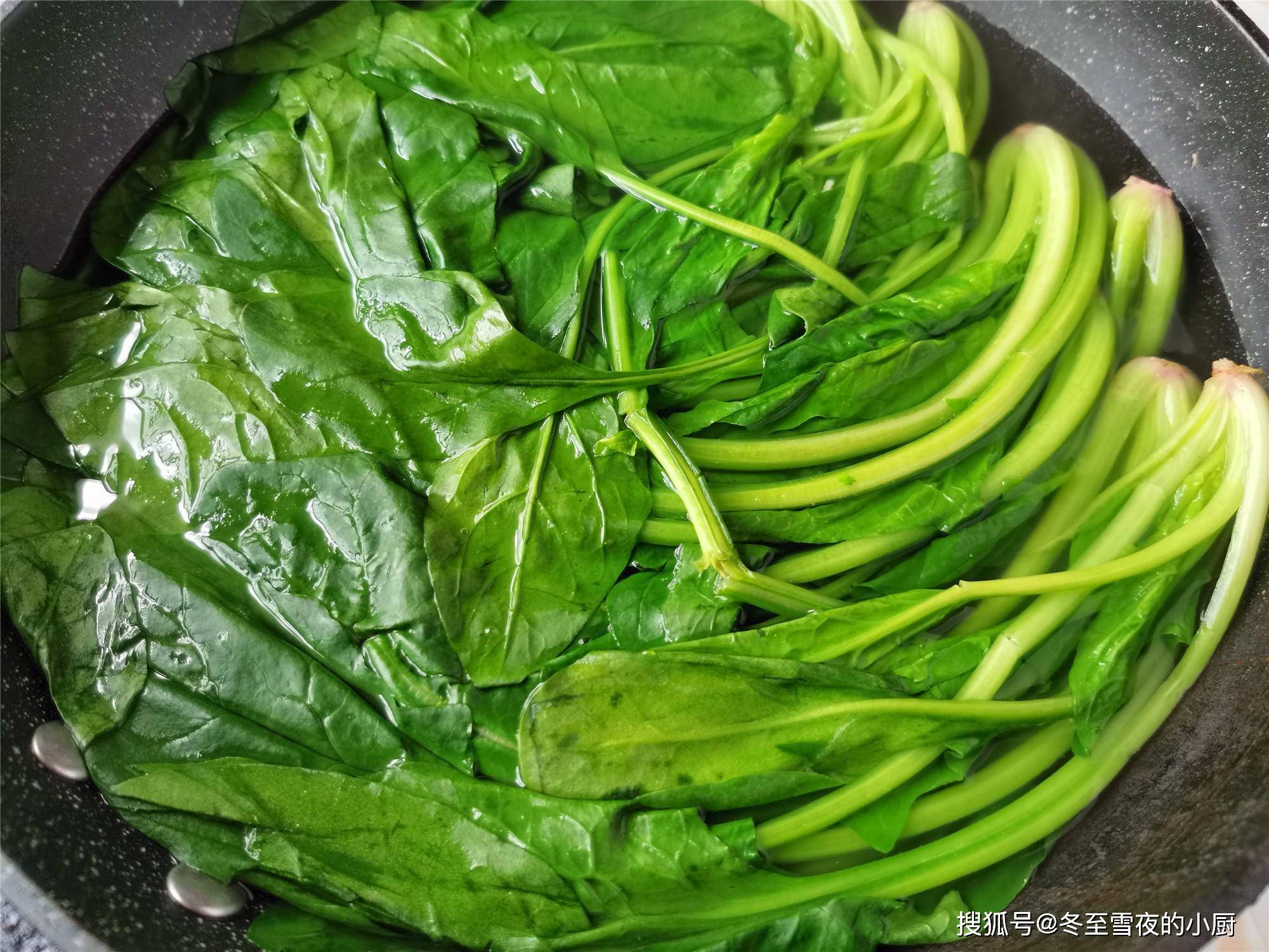 白色背景上分离的水菠菜蔬菜食材图片下载 - 觅知网
