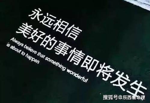 抱歉，出了点问题，请重试看看~（2041属于什么命）