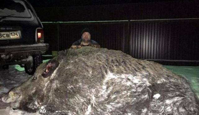 世界罕见的图片 a0a53071df234f4683d3dad35a98add2.jpeg