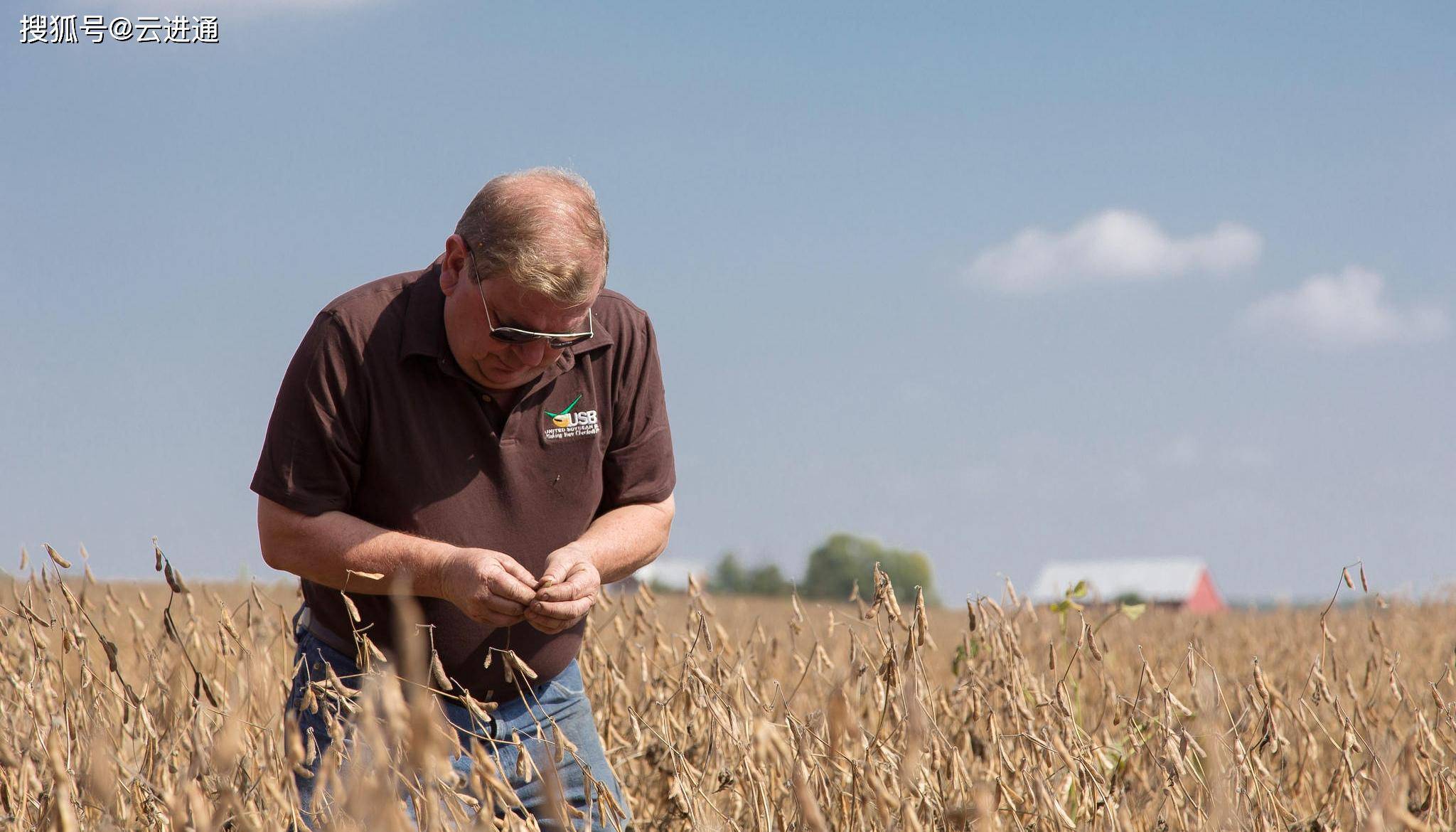 证书|越南大米出口大米价格猛增；多家船公司提高海运进出口运价