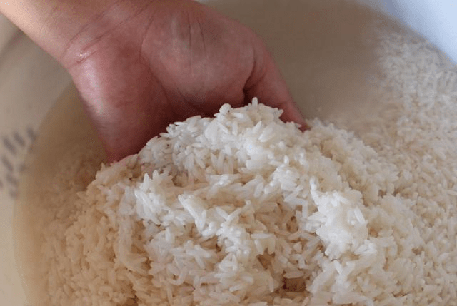 大米怎么蒸好呢 f34638cbd7394b47b9490bc002dccb17.png