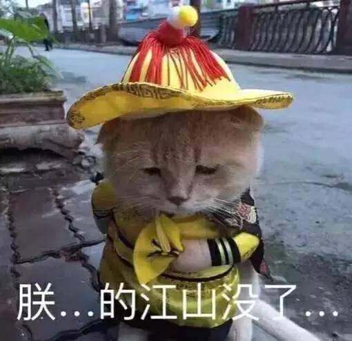 朕的沙雕图:朕要就寝了,都退下吧