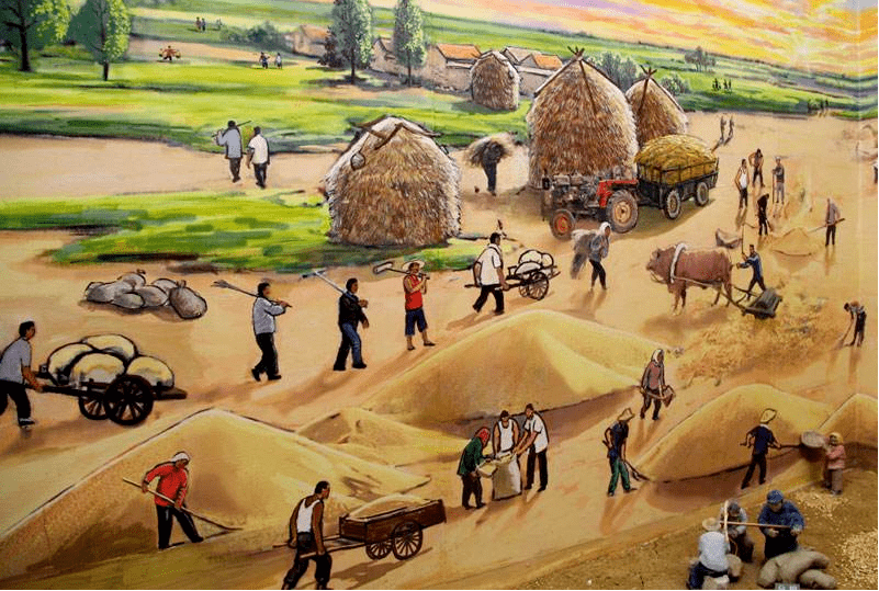 【美文美图】阿茂 | 又是一年麦穗黄,回忆那些年割麦子的场景!