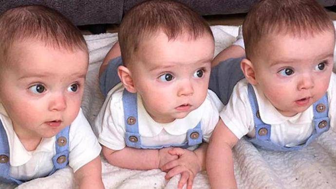【多胞胎】多胞胎是什么意思_多胞胎是怎样形成的