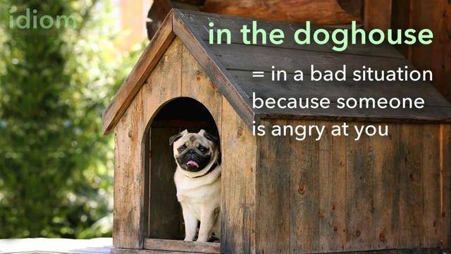 狗在房子前面用英文怎么说