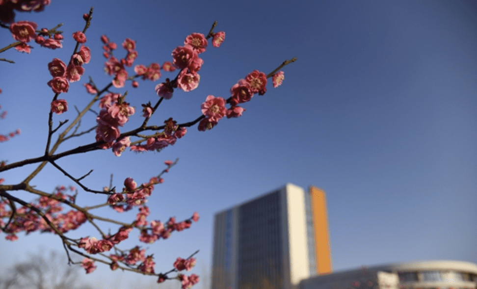 「大学」考教师编,全省第三!太厉害!这所独立学院录取线超公办本科