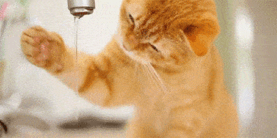 647ad95da1ab4c5d895b964f04fef1f1.gif