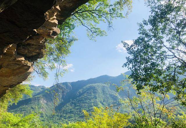 宜宾gdp为什么会超过德阳_宜宾会诗沟图片(3)