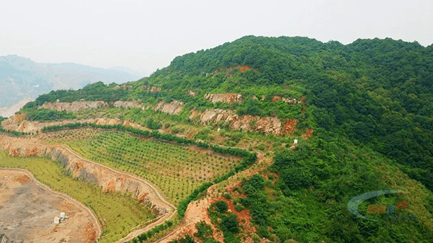 华新水泥打造绿色矿山保护生态系统