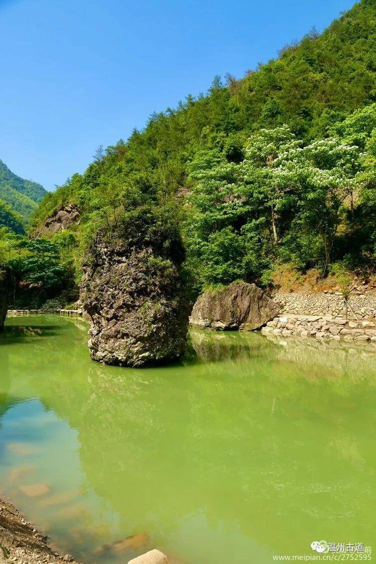 原创灵运仙境桐油花,乡愁美景古道行