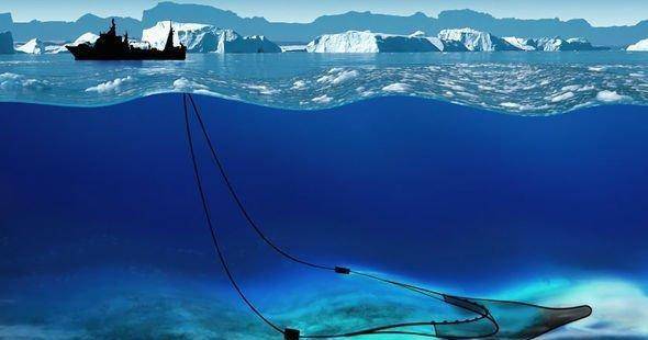 科学家拍到的海底物种 40685dd71d7848ef89a462d8dad19eb0.jpeg