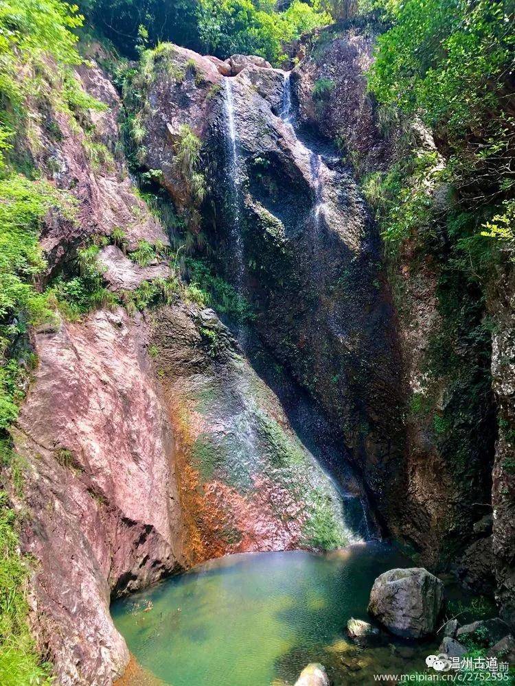 原创灵运仙境桐油花乡愁美景古道行