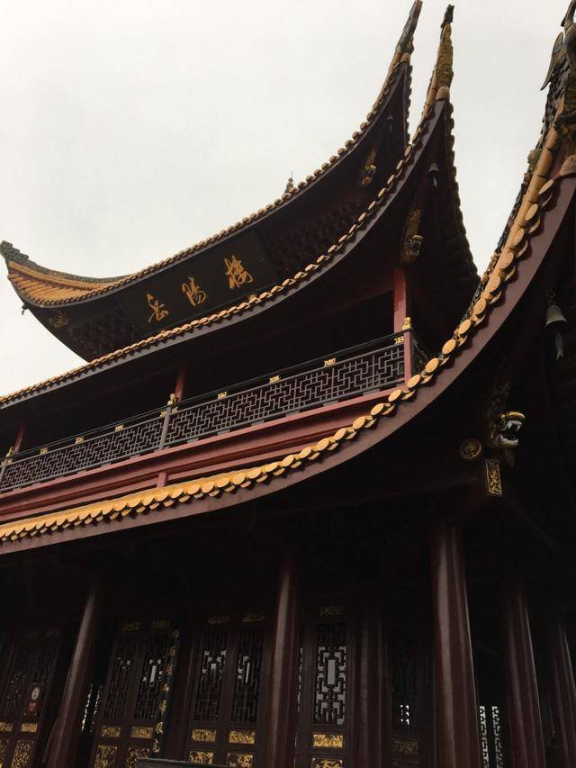 洛阳潍坊gdp_洛阳牡丹