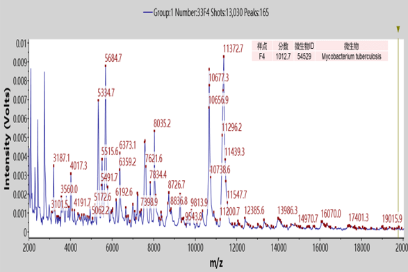 分享| 微生物质谱鉴定结核分枝杆菌的样本前处理技巧